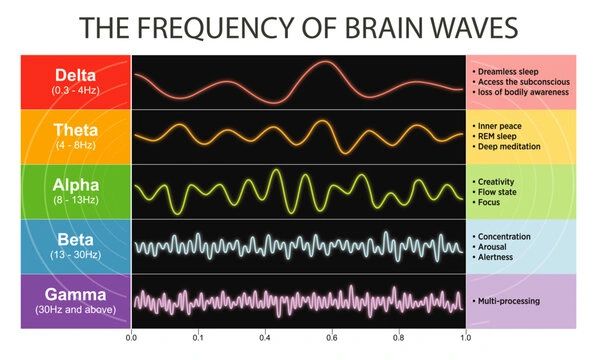 The frequency of brain waves — Delta, Theta, Alpha, Beta, Gamma