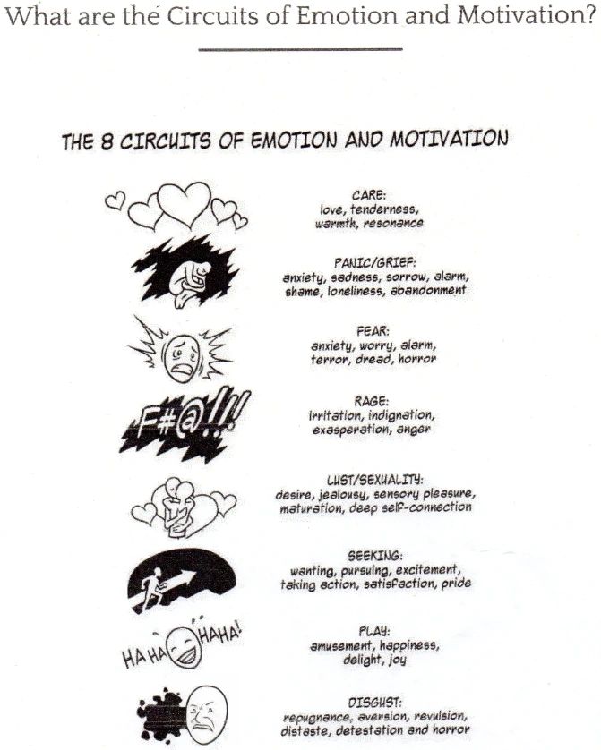 Emotional circuits in the brain and body